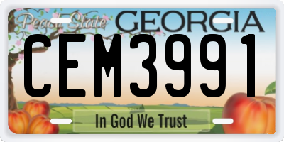 GA license plate CEM3991