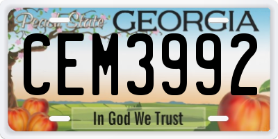 GA license plate CEM3992