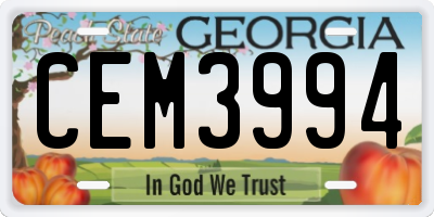 GA license plate CEM3994