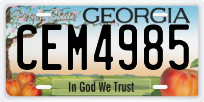 GA license plate CEM4985