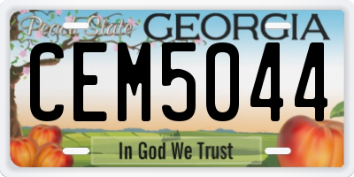 GA license plate CEM5044