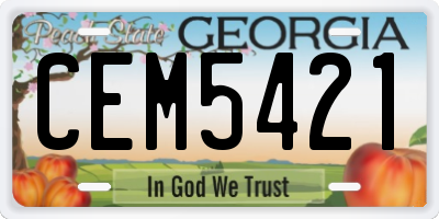 GA license plate CEM5421