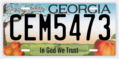 GA license plate CEM5473