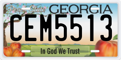 GA license plate CEM5513