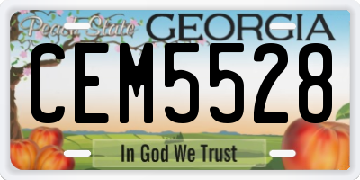 GA license plate CEM5528