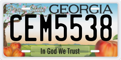 GA license plate CEM5538