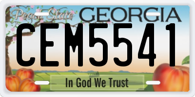 GA license plate CEM5541