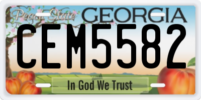 GA license plate CEM5582