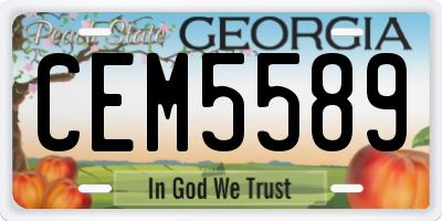 GA license plate CEM5589