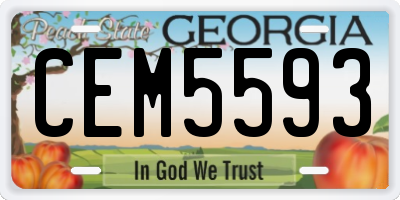 GA license plate CEM5593