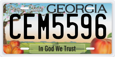GA license plate CEM5596