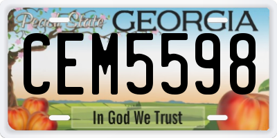 GA license plate CEM5598