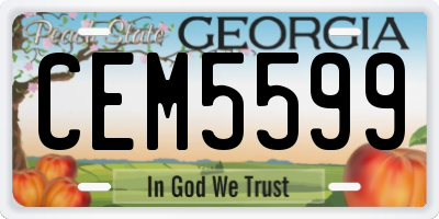 GA license plate CEM5599