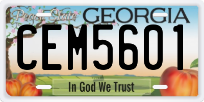 GA license plate CEM5601