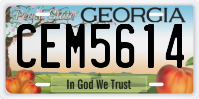 GA license plate CEM5614