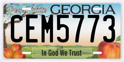 GA license plate CEM5773