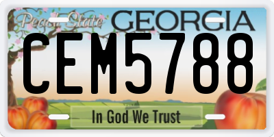 GA license plate CEM5788