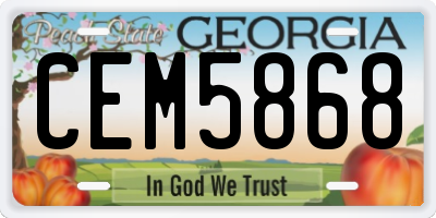 GA license plate CEM5868