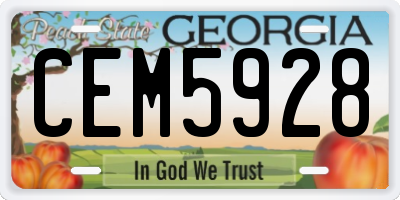 GA license plate CEM5928