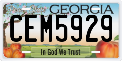 GA license plate CEM5929