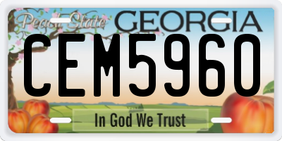 GA license plate CEM5960