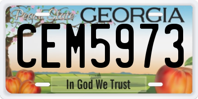 GA license plate CEM5973