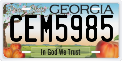 GA license plate CEM5985