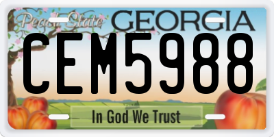GA license plate CEM5988