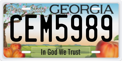 GA license plate CEM5989