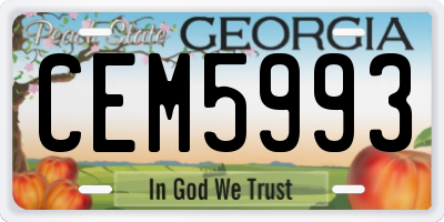 GA license plate CEM5993