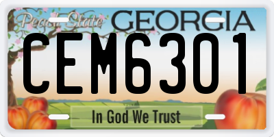 GA license plate CEM6301