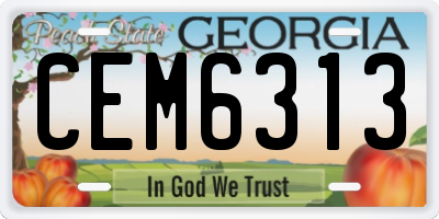 GA license plate CEM6313