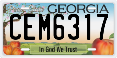GA license plate CEM6317