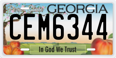 GA license plate CEM6344