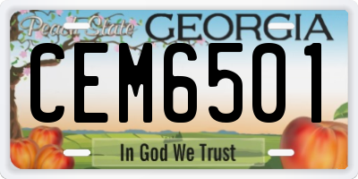GA license plate CEM6501