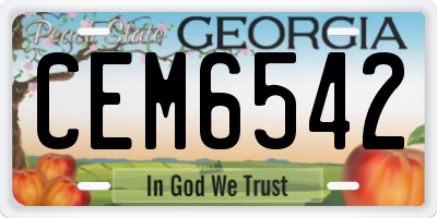 GA license plate CEM6542