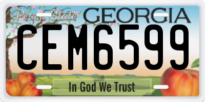 GA license plate CEM6599