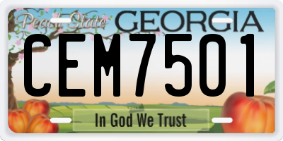 GA license plate CEM7501