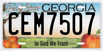 GA license plate CEM7507