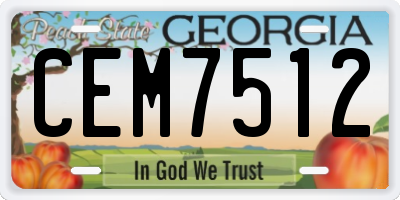 GA license plate CEM7512