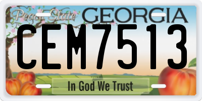 GA license plate CEM7513
