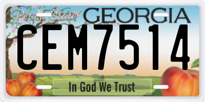 GA license plate CEM7514