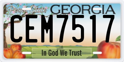 GA license plate CEM7517
