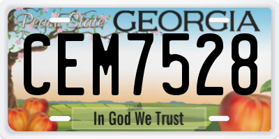 GA license plate CEM7528