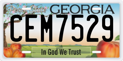 GA license plate CEM7529