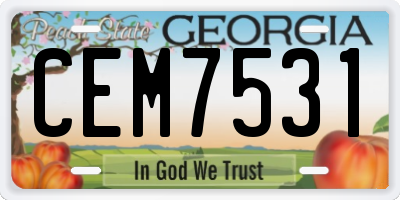 GA license plate CEM7531