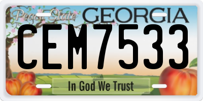 GA license plate CEM7533