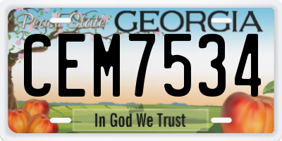 GA license plate CEM7534