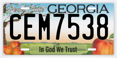 GA license plate CEM7538
