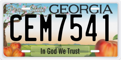 GA license plate CEM7541